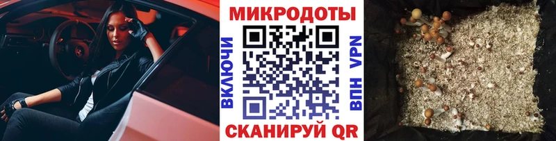 Псилоцибиновые грибы MAGIC MUSHROOMS что такое наркотик Пятигорск